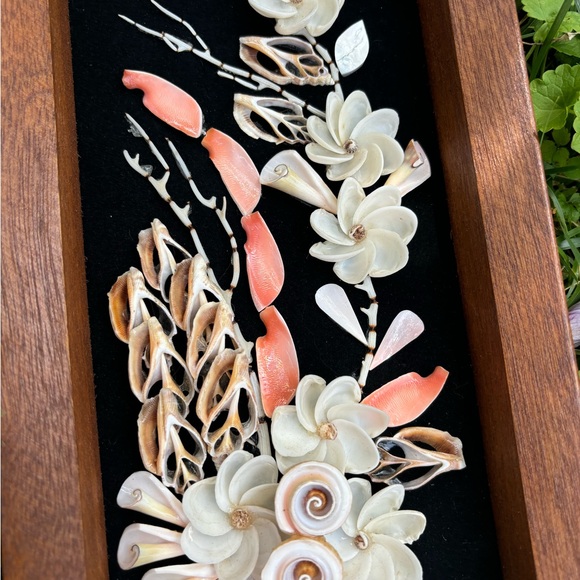 Rare Vintage Seashell Shadow Boxes ~ Wood & Black Velvet ~ Set of 2 - Picture 4 of 7